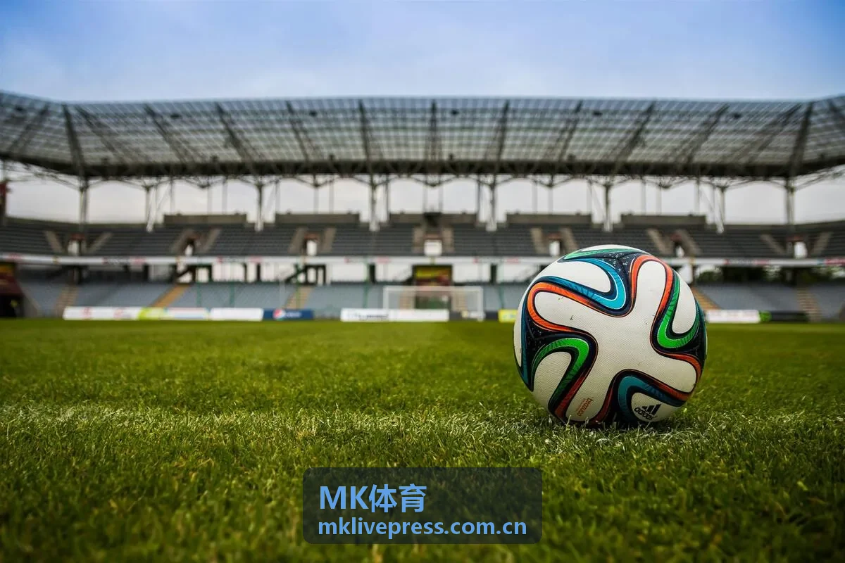 MK体育赛事看点与现场氛围
